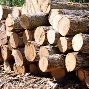 Oak Logs – 1/3 Cord